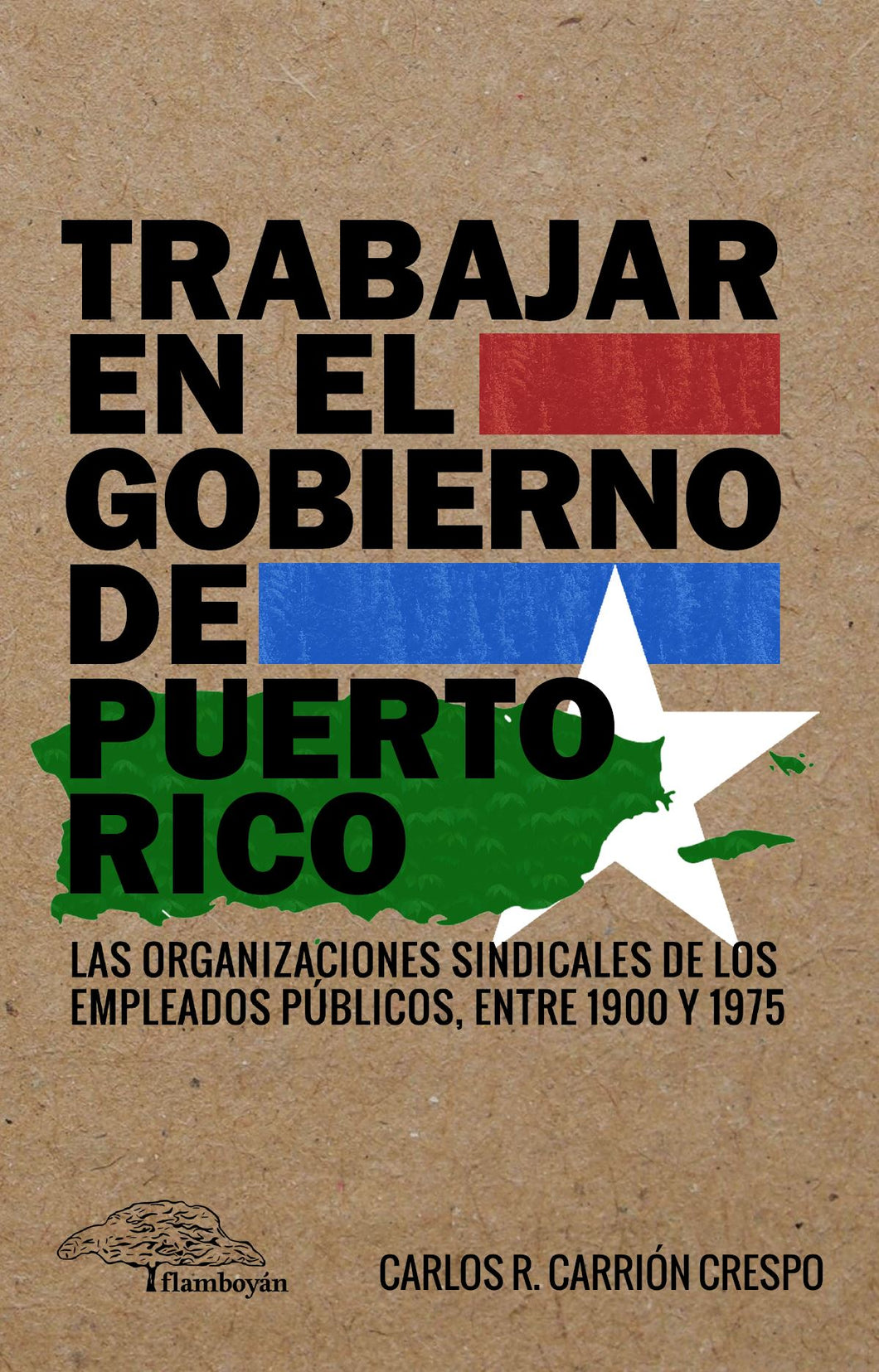 Trabajar en el gobierno de Puerto Rico: Carlos R. Carrión Crespo