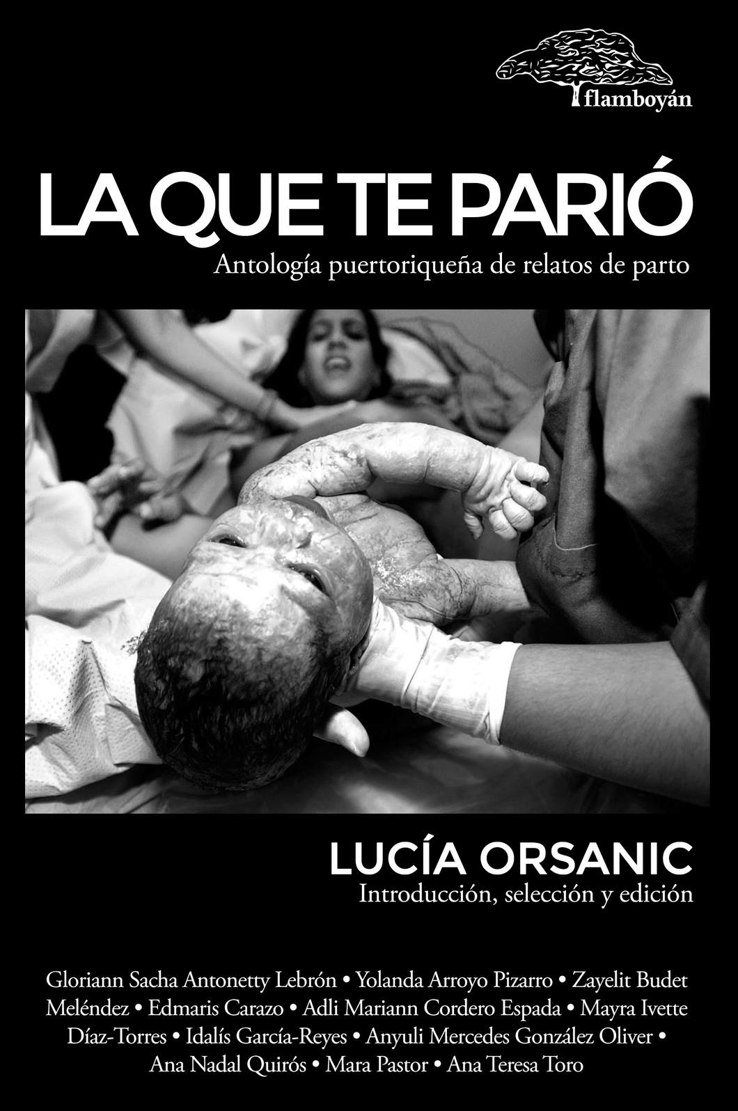 La que te parió. Antología puertorriqueña de relatos de parto: Lucía Orsanic (Ed.)